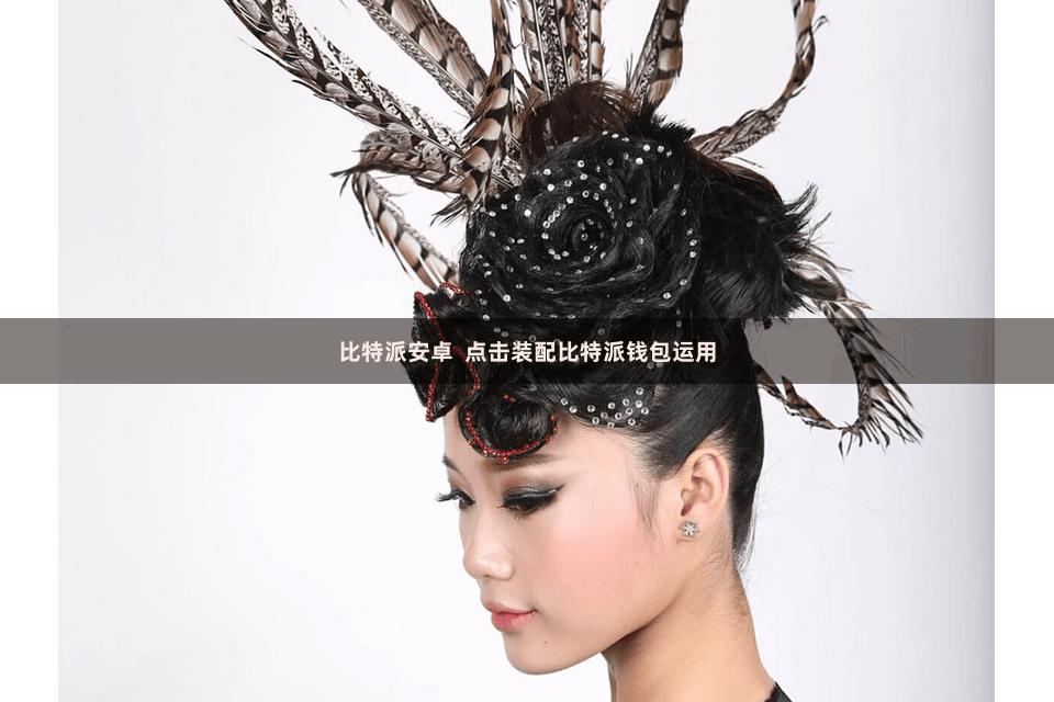 比特派安卓 点击装配比特派钱包运用