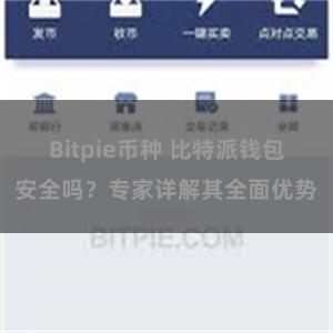 Bitpie币种 比特派钱包安全吗？专家详解其全面优势