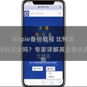 Bitpie备份教程 比特派钱包安全吗？专家详解其全面优势