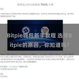 Bitpie钱包新手教程 选择Bitpie的原因，你知道吗？