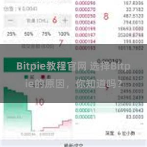 Bitpie教程官网 选择Bitpie的原因，你知道吗？