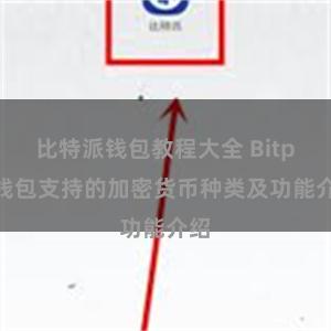 比特派钱包教程大全 Bitpie钱包支持的加密货币种类及功能介绍