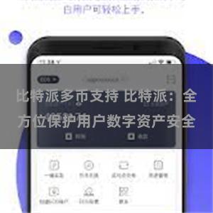 比特派多币支持 比特派：全方位保护用户数字资产安全