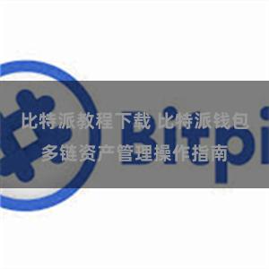 比特派教程下载 比特派钱包多链资产管理操作指南