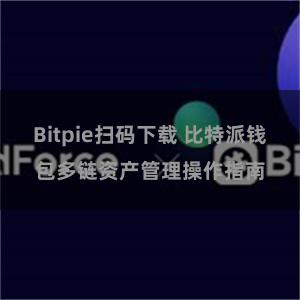 Bitpie扫码下载 比特派钱包多链资产管理操作指南