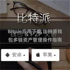 Bitpie应用下载 比特派钱包多链资产管理操作指南