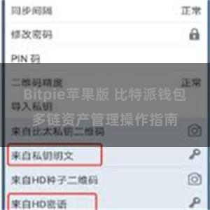 Bitpie苹果版 比特派钱包多链资产管理操作指南