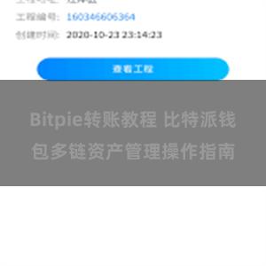 Bitpie转账教程 比特派钱包多链资产管理操作指南