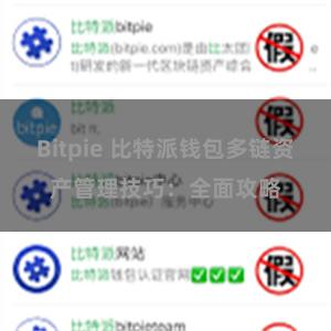 Bitpie 比特派钱包多链资产管理技巧：全面攻略