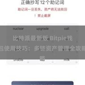 比特派最新版 Bitpie钱包使用技巧：多链资产管理全攻略