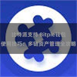 比特派支持 Bitpie钱包使用技巧：多链资产管理全攻略