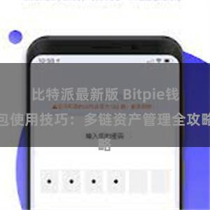 比特派最新版 Bitpie钱包使用技巧：多链资产管理全攻略