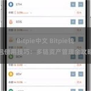 Bitpie中文 Bitpie钱包使用技巧：多链资产管理全攻略