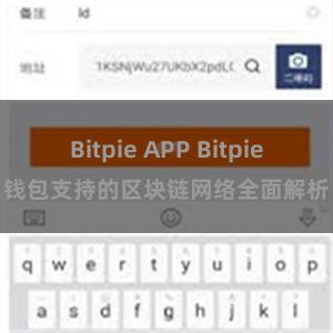 Bitpie APP Bitpie钱包支持的区块链网络全面解析