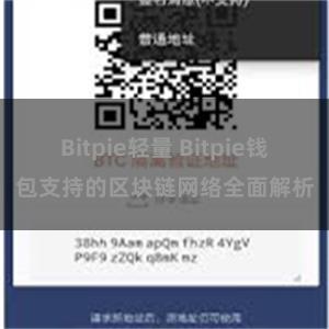 Bitpie轻量 Bitpie钱包支持的区块链网络全面解析