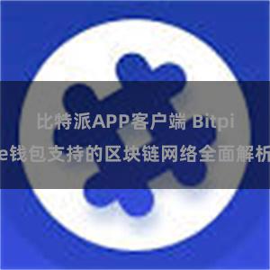 比特派APP客户端 Bitpie钱包支持的区块链网络全面解析