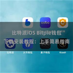 比特派iOS Bitpie钱包下载安装教程：上手简易指南