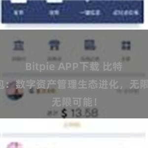 Bitpie APP下载 比特派钱包：数字资产管理生态进化，无限可能！