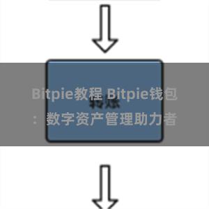 Bitpie教程 Bitpie钱包：数字资产管理助力者