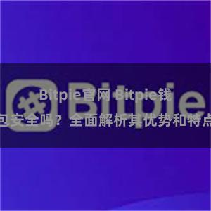 Bitpie官网 Bitpie钱包安全吗？全面解析其优势和特点