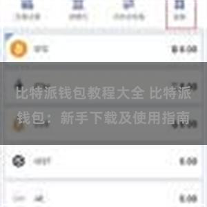 比特派钱包教程大全 比特派钱包：新手下载及使用指南