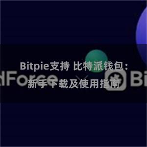 Bitpie支持 比特派钱包：新手下载及使用指南