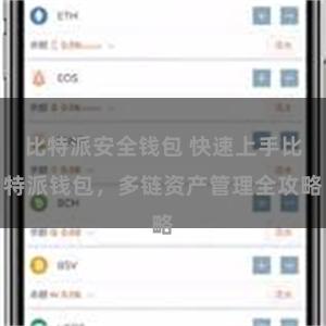 比特派安全钱包 快速上手比特派钱包，多链资产管理全攻略