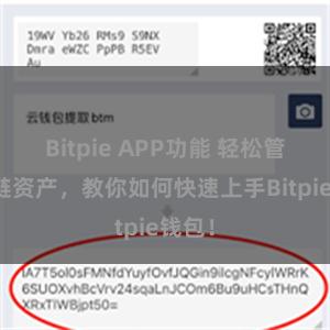 Bitpie APP功能 轻松管理多链资产，教你如何快速上手Bitpie钱包！