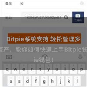 Bitpie系统支持 轻松管理多链资产，教你如何快速上手Bitpie钱包！