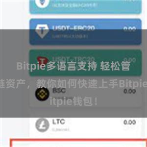 Bitpie多语言支持 轻松管理多链资产，教你如何快速上手Bitpie钱包！