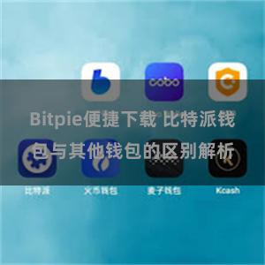 Bitpie便捷下载 比特派钱包与其他钱包的区别解析