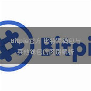 Bitpie官方 比特派钱包与其他钱包的区别解析