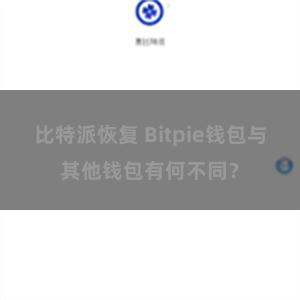 比特派恢复 Bitpie钱包与其他钱包有何不同？