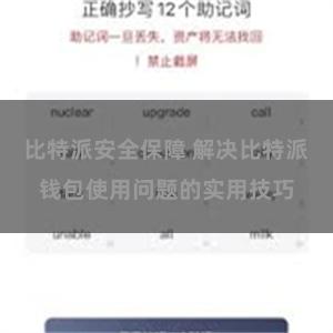 比特派安全保障 解决比特派钱包使用问题的实用技巧