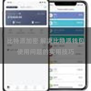 比特派加密 解决比特派钱包使用问题的实用技巧