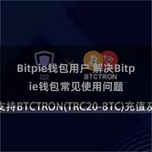 Bitpie钱包用户 解决Bitpie钱包常见使用问题