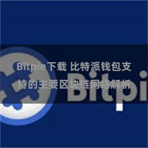 Bitpie下载 比特派钱包支持的主要区块链网络解析