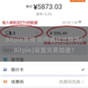 Bitpie支持 如何通过比特派(Bitpie)设置交易加速？