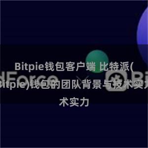 Bitpie钱包客户端 比特派(Bitpie)钱包的团队背景与技术实力