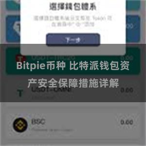 Bitpie币种 比特派钱包资产安全保障措施详解