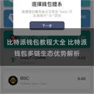 比特派钱包教程大全 比特派钱包多链生态优势解析