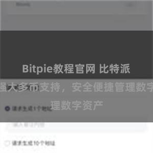 Bitpie教程官网 比特派钱包强大多币支持，安全便捷管理数字资产
