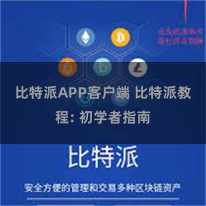 比特派APP客户端 比特派教程: 初学者指南