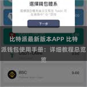 比特派最新版本APP 比特派钱包使用手册：详细教程总览