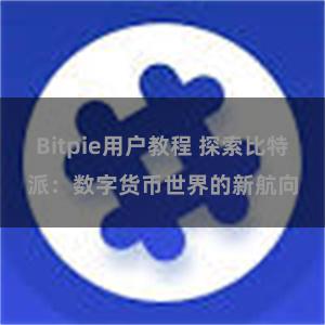 Bitpie用户教程 探索比特派：数字货币世界的新航向