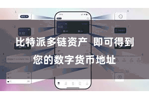 比特派多链资产  即可得到您的数字货币地址