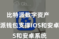 比特派数字资产  比特派钱包支撑IOS和安卓系统