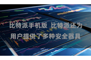 比特派手机版  比特派还为用户提供了多种安全器具